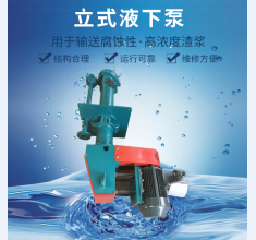 立(lì)式液下(xia)泵